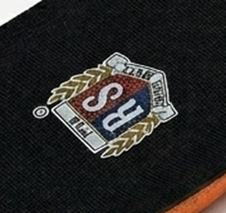 Logo RS Rodeo Sport
